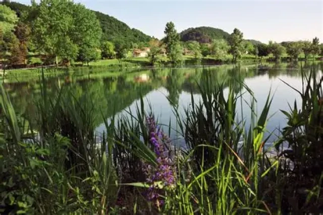 Champos Festilac Trail Champos Festilac Trail