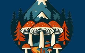 Trail des champignons