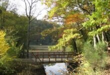 Avrillé - LE TRAIL DU PARC
