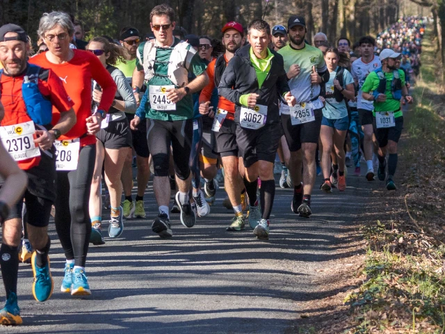 Semi-marathon du Massif Forestier
