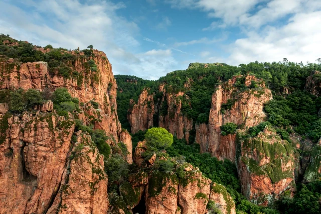 Naturatrail  Pays de Fayence